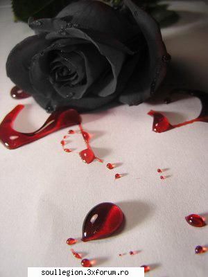 pic the day una din pasiunile mele...