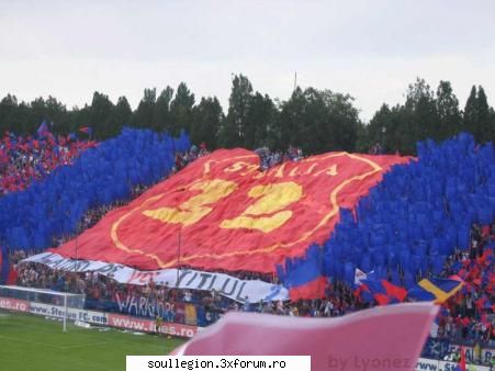 Fotbal intern - forzza steaua ale! - Fotbal intern