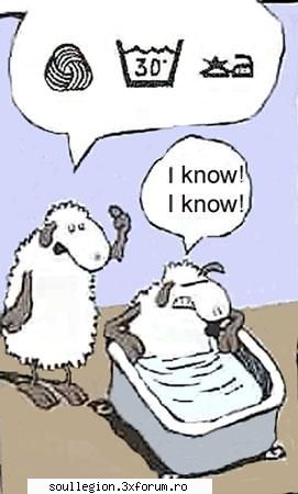 Pic of the day - sheep_from_hell - Poza zilei