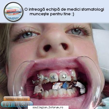 Pic of the day - Spalati-va fratilor pe dinti ca - Poza zilei