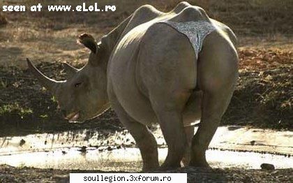 Pic of the day - j sa nu jpuneti ca nui tare :)))))))) - Poza zilei