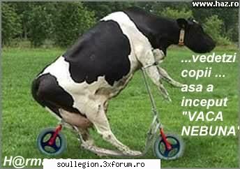 Pic of the day - aja no coment :D - Poza zilei